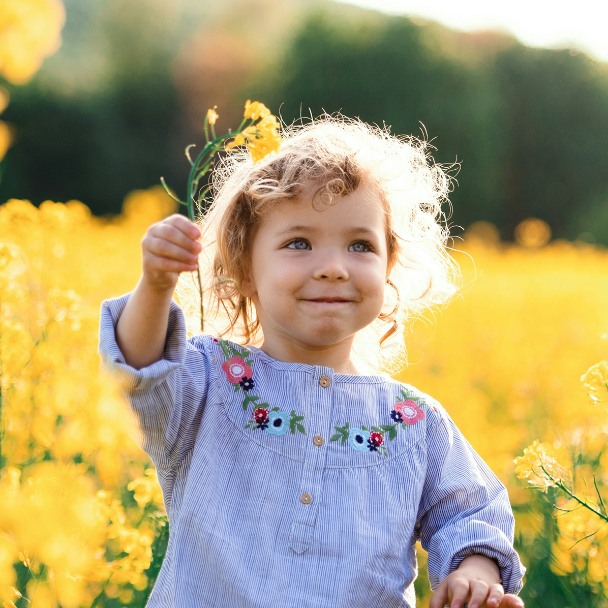 A young toddler in a brightly lit field of yellow flowers, she is holding a flower in her hand