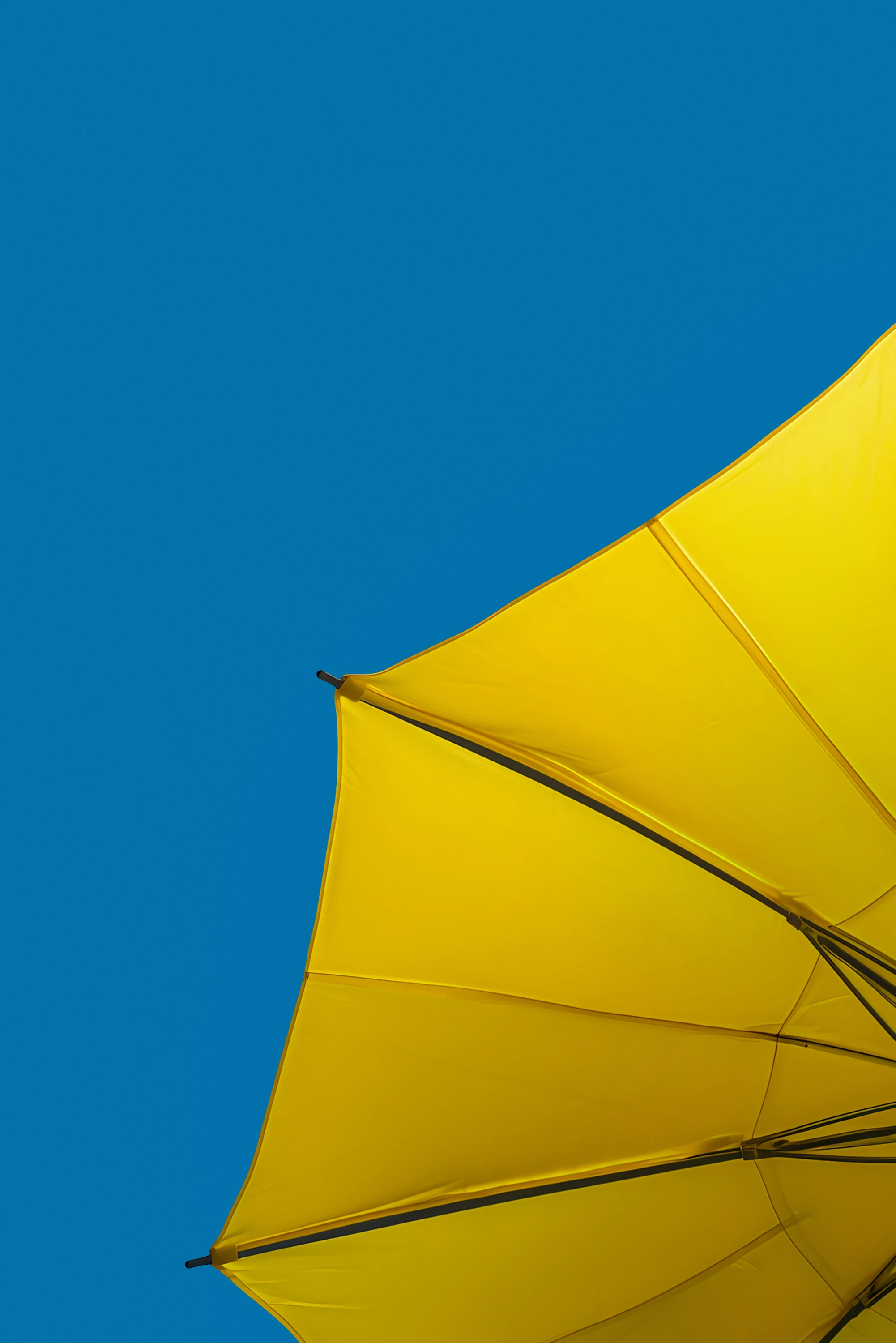 A yellow umbrella with a blue sky in the background